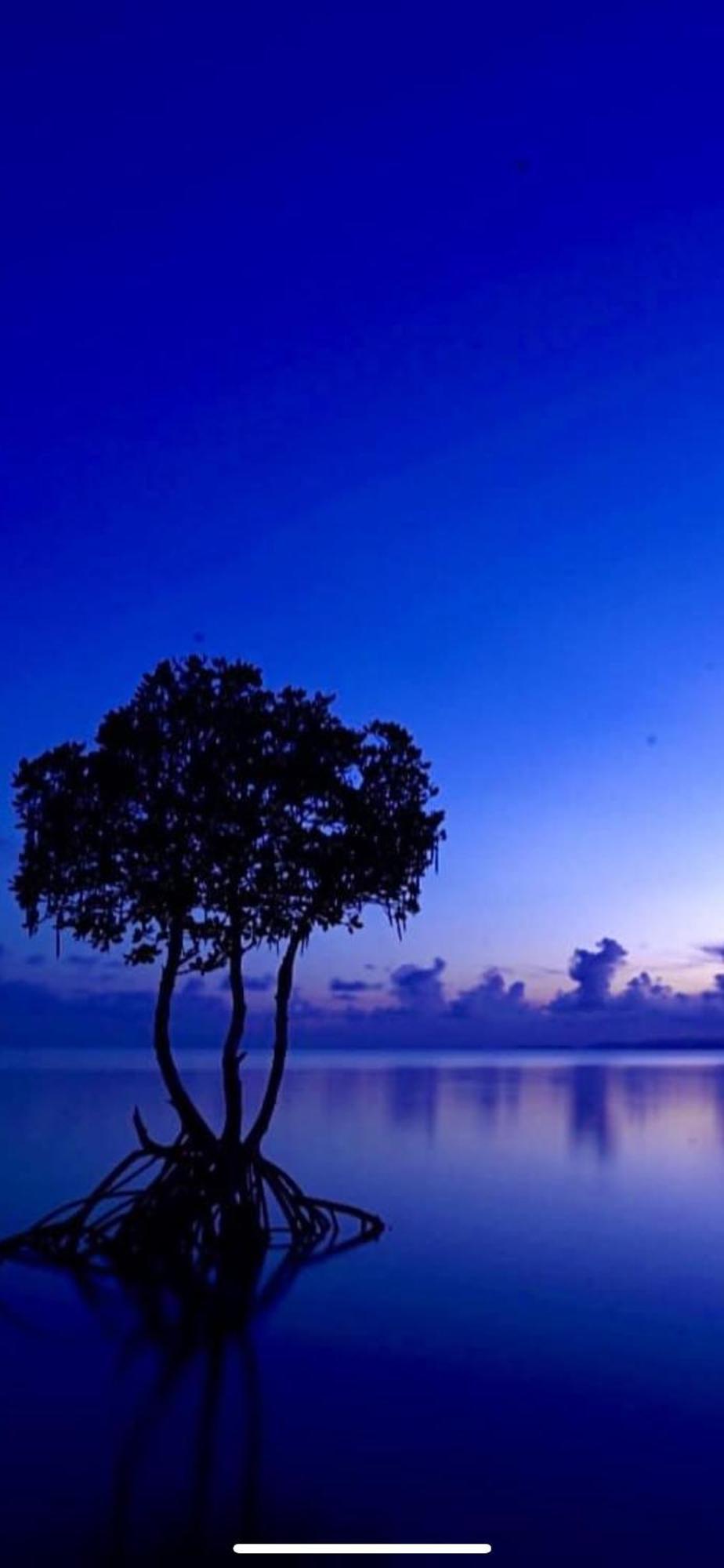 Villa ほんだけ à Ishigaki  Extérieur photo